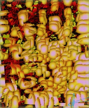 Rathe Crop of Alphonso Mangoes
